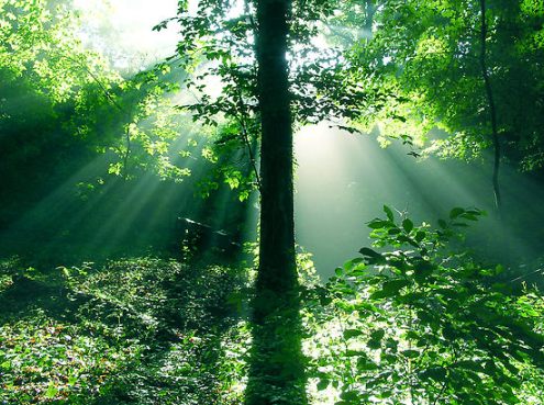 991337-2-heavenly-light ΑΣ ΦΑΝΤΑΣΤΟΥΜΕ ΤΟΝ ΠΑΡΑΔΕΙΣΟ